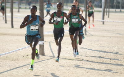 Vuelve el cross de Castelló con nuevo trazado y varios atletas internacionales