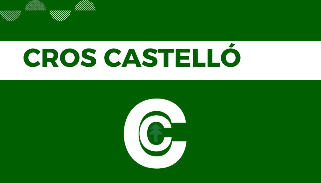 Voluntarios Copa de Europa de Clubes S20